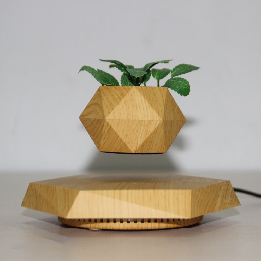 Magnetic Levitating Plant Pot – Floating 360° Rotating Bonsai Planter Succulent Home Decor Gift - GiftWave.co