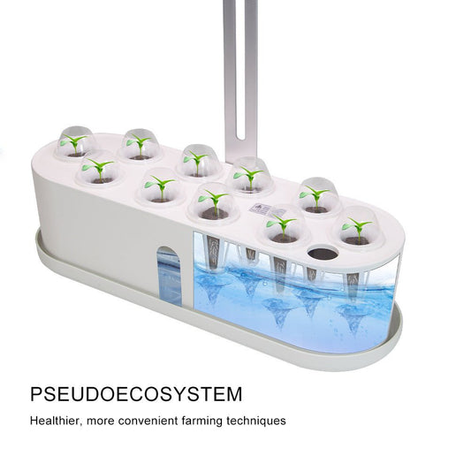Indoor Herb Garden Hydroponic Kit 12-Pod – Smart LED Grow Light, Auto Ti... — View 2