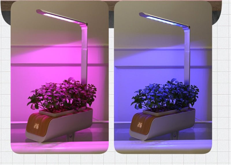 Indoor Herb Garden Hydroponic Kit 12-Pod – Smart LED Grow Light, Auto Ti... — View 7