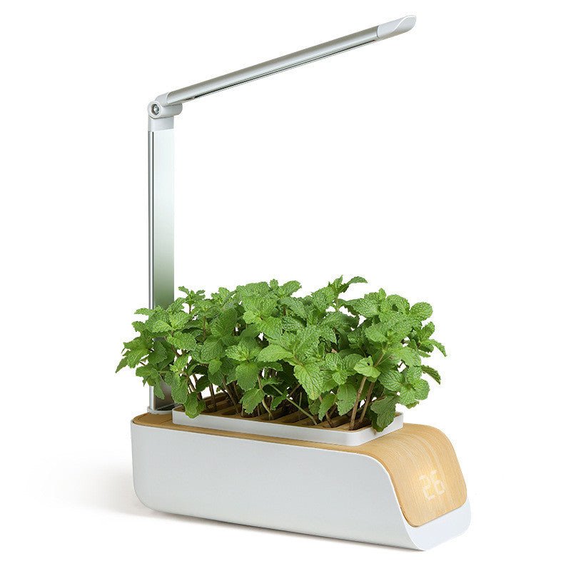 Indoor Herb Garden Hydroponic Kit 12-Pod – Smart LED Grow Light, Auto Ti... — View 4