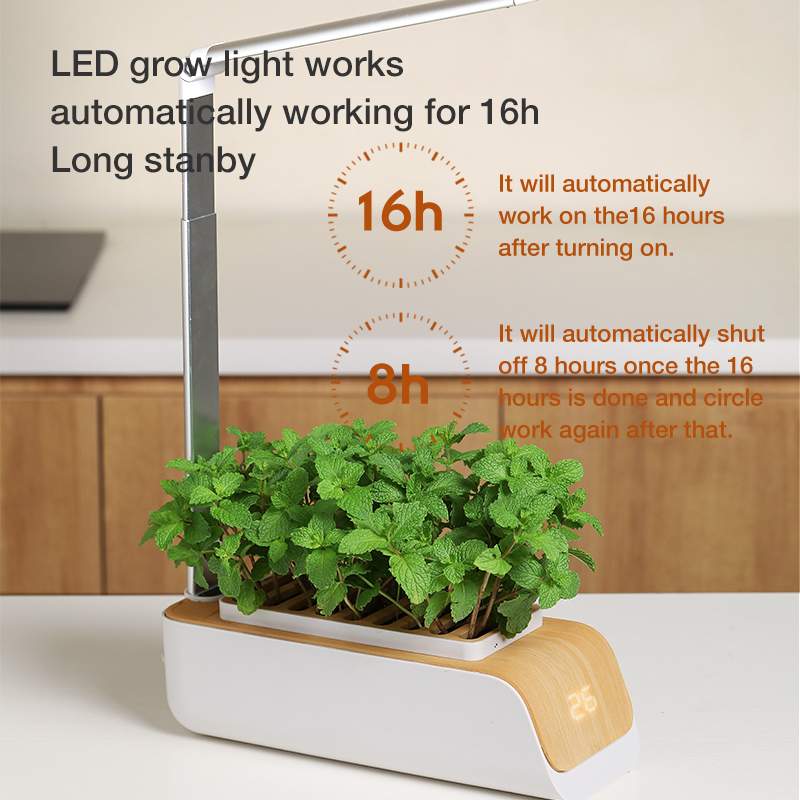 Indoor Herb Garden Hydroponic Kit 12-Pod – Smart LED Grow Light, Auto Ti... — View 6