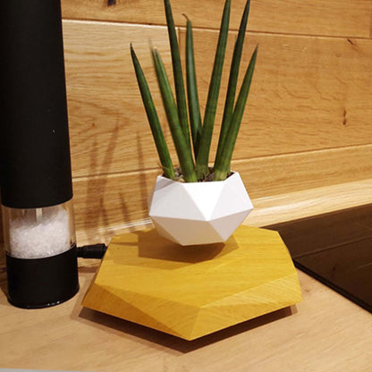 Magnetic Levitating Plant Pot – Floating 360° Rotating Bonsai Planter Succulent Home Decor Gift - GiftWave.co
