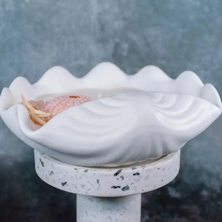 White shell-shaped object with a small pink item inside on a dark background