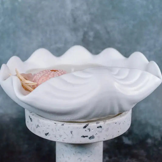 White shell-shaped object with a small pink item inside on a dark background