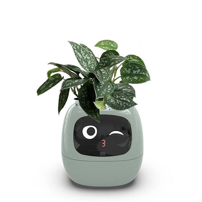 IVYBot: Smart Planter with AI — View 9