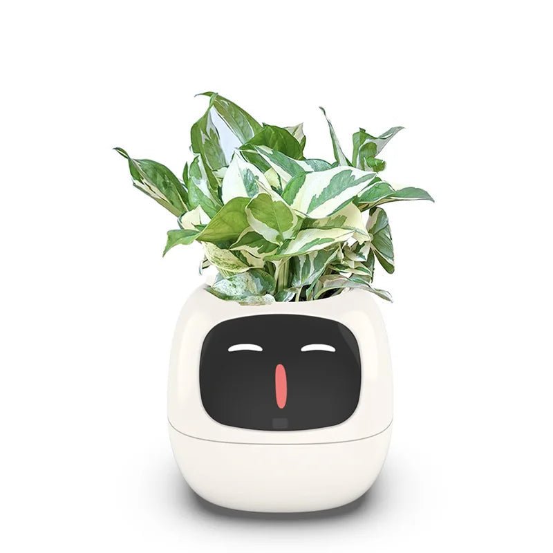 IVYBot: Smart Planter with AI — View 6
