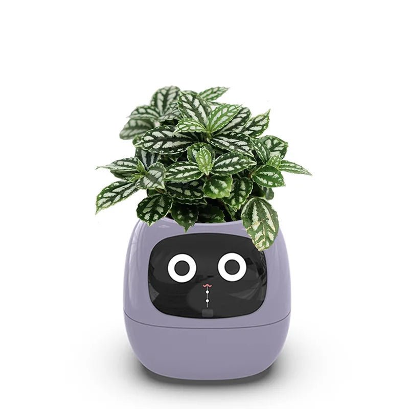 IVYBot: Smart Planter with AI — View 5