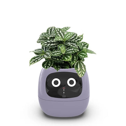 IVYBot: Smart Planter with AI — View 5