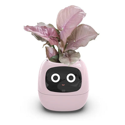 IVYBot: Smart Planter with AI — View 10