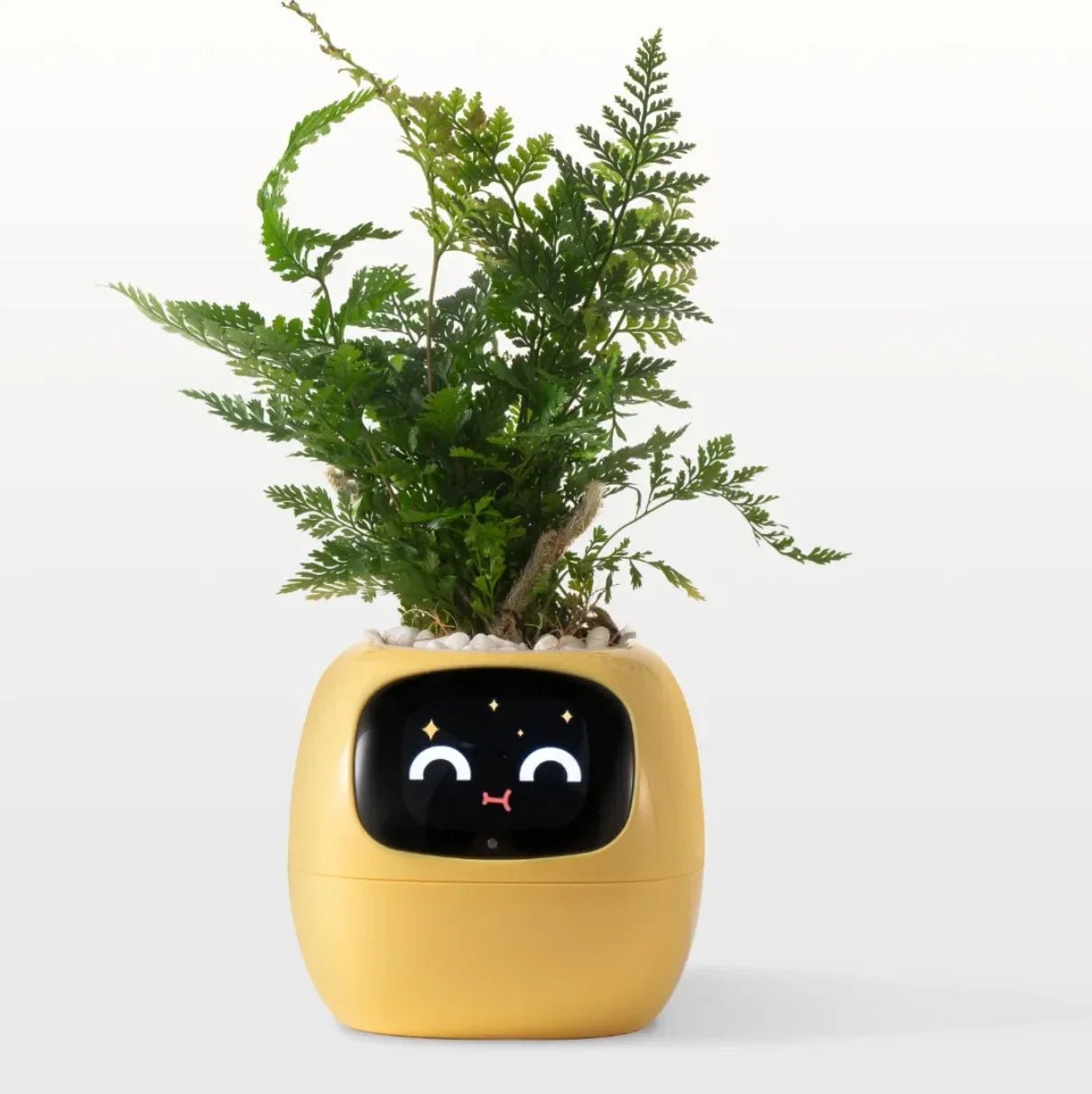 IVYBot: Smart Planter with AI — View 4
