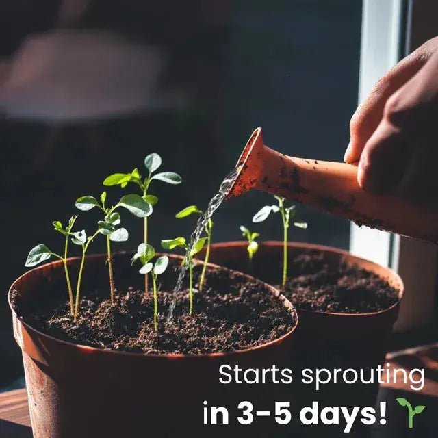 Eco-Friendly Plantable Seed Calendar 2026 – 12 Month Biodegradable Wildf... — View 7