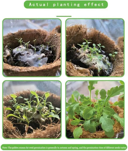Eco-Friendly Plantable Seed Calendar 2026 – 12 Month Biodegradable Wildf... — View 9
