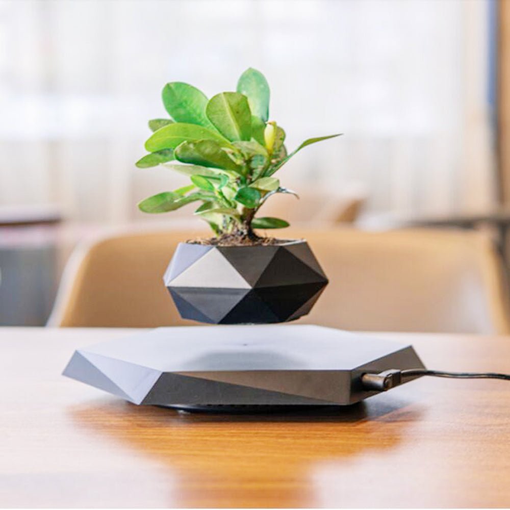 Magnetic Levitating Plant Pot – Floating 360° Rotating Bonsai Planter Succulent Home Decor Gift - GiftWave.co