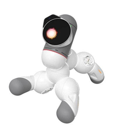 ClicBot Modular Coding Robot — Buildable, Programmable, STEM Learning Robot