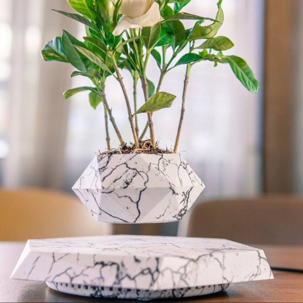 Magnetic Levitating Plant Pot – Floating 360° Rotating Bonsai Planter Succulent Home Decor Gift - GiftWave.co