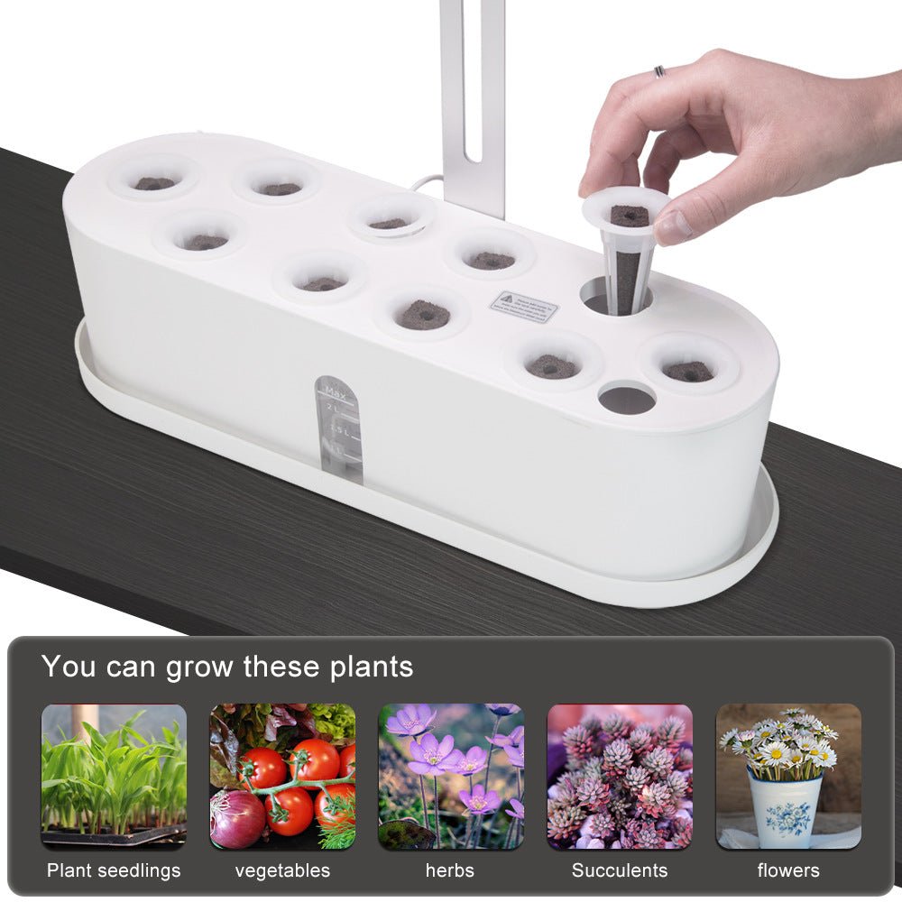 Indoor Herb Garden Hydroponic Kit 12-Pod – Smart LED Grow Light, Auto Ti... — View 3
