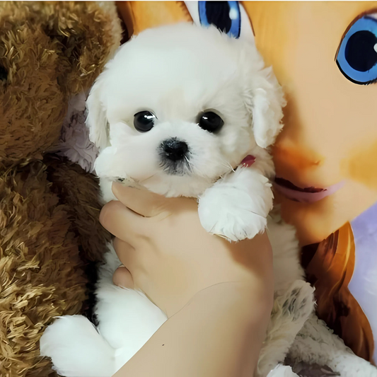 Cuddle Cushion Lifelike Plush Puppy Toy