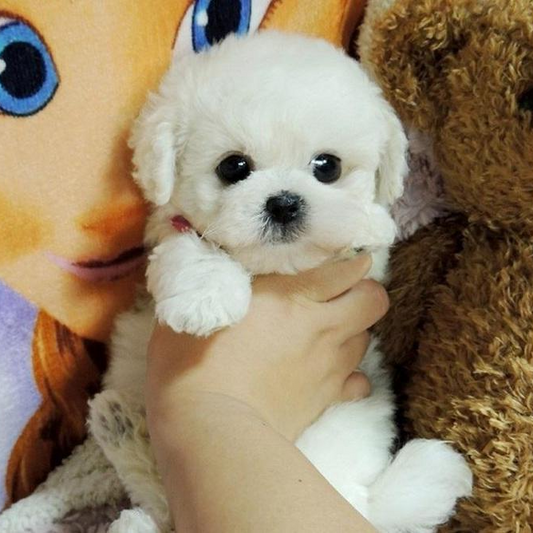 Cuddle Cushion Lifelike Plush Puppy Toy